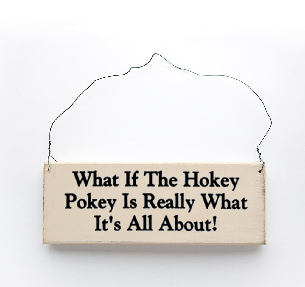 What if the Hokey Pokey is Really What it's All About?